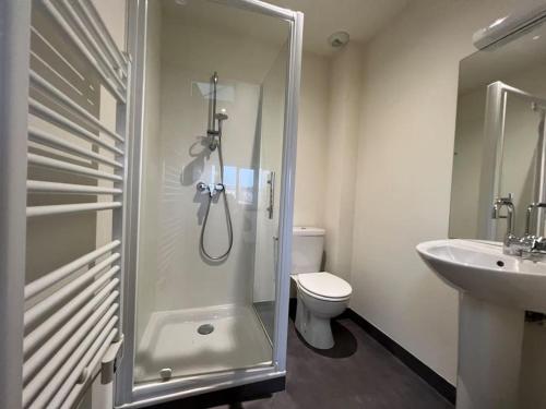 ein Bad mit einer Dusche, einem WC und einem Waschbecken in der Unterkunft Studio 2 - Proche Centre-ville in Paray-le-Monial