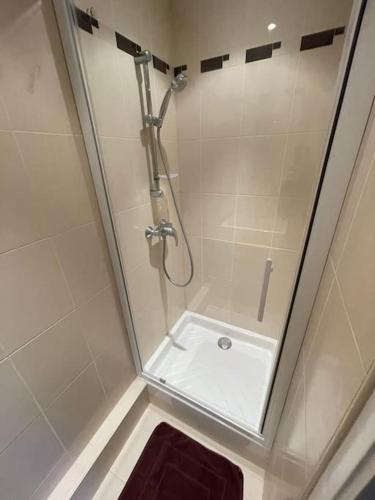 La salle de bains est pourvue d'une douche avec une porte en verre et d'un lavabo. dans l'établissement Calme et verdure à 2 pas de Paris, à Neuilly-sur-Seine