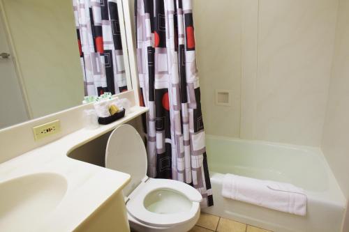 ニューブランズウィックにあるRutgers University Inn and Conference Centerのトイレ、洗面台、シャワー付きのバスルーム