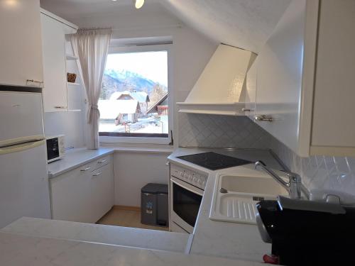 Kuchyň nebo kuchyňský kout v ubytování Apartments Mertelj