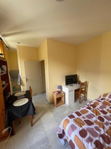 - une chambre avec un lit, un bureau et une télévision dans l'établissement Charmant studio sur les hauteurs du lac du Bourget, à La Motte-Servolex