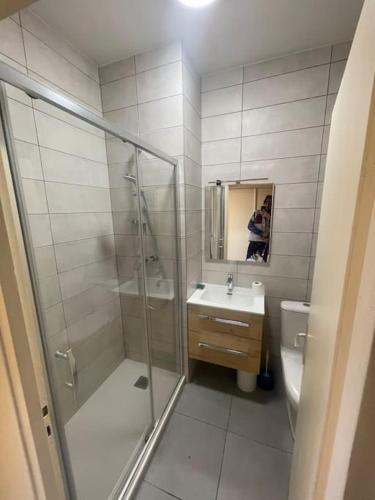 La salle de bains est pourvue d'une douche, d'un lavabo et de toilettes. dans l'établissement Charmant studio sur les hauteurs du lac du Bourget, à La Motte-Servolex