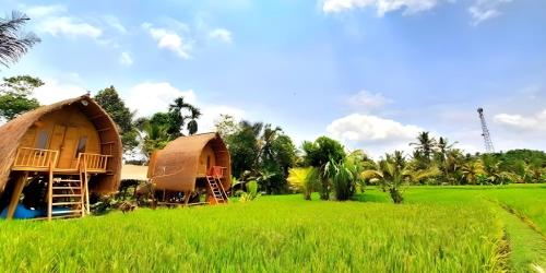 a group of houses in a rice field at Lumbung Langit Bali house & hostel in Tampaksiring