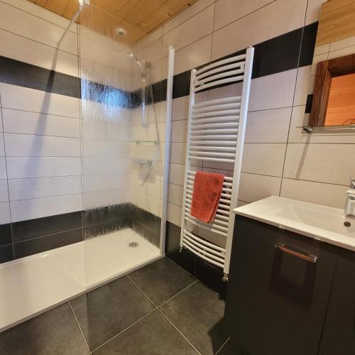 une salle de bain avec douche et lavabo dans l'établissement chalet des cyclistes, à La Bresse