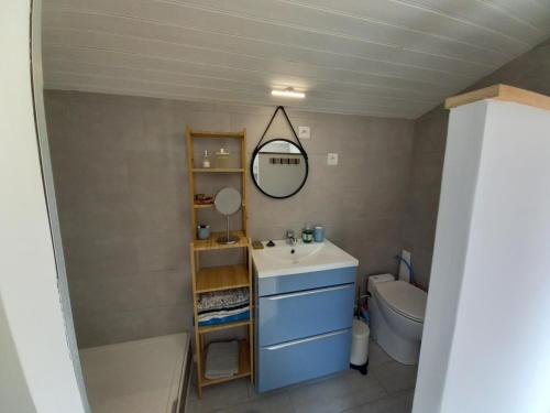 een badkamer met een wastafel, een spiegel en een toilet bij Ty'Château Carignan de Bordeaux B&B in Carignan