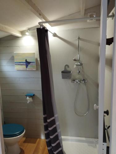 une salle de bain avec douche et toilettes dans l'établissement Chalet, à Régusse