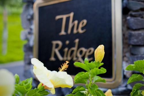 a butterfly sitting on a flower in front of a sign at 1623 Ridge in Kahana