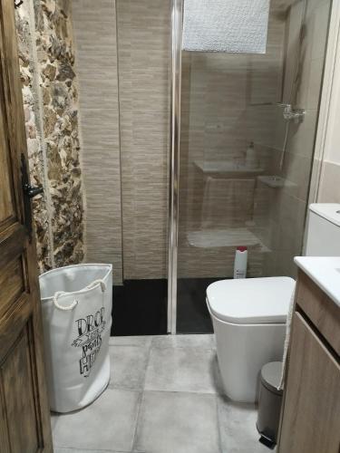 a bathroom with a toilet and a glass shower at Casa Elvi in Gijón