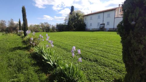 a field with purple flowers in the grass at Borgo Iris in Pietraia