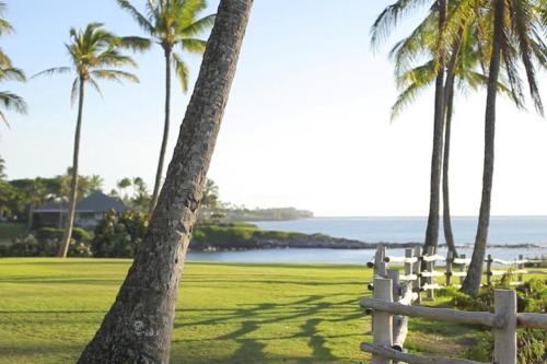 a fence in front of a field with palm trees at 1915 Ridge in Kahana