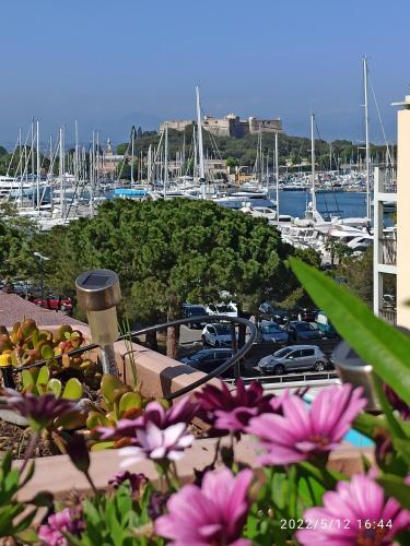 a view of a marina with boats in the water at Penthouse avec Jacuzzi - Terrasse - Parking - Piscine in Antibes