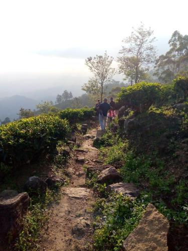 a group of people walking down a dirt trail at The bawa guest Inn in Haputale