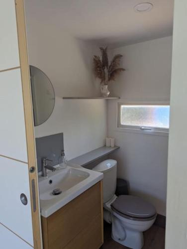 une petite salle de bain avec toilettes et lavabo dans l'établissement Chalet climatisé en campagne avec baignade privée, à Lagnes