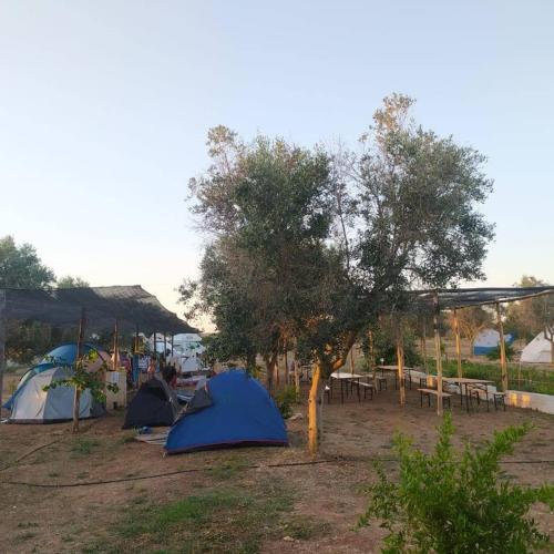 Torre Lapillo Agricampeggio – Photos 3
