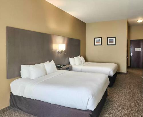 una habitación de hotel con 2 camas en una habitación en Comfort Inn & Suites Monahans I-20 en Monahans