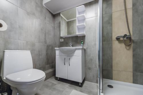 La salle de bains est pourvue de toilettes, d'un lavabo et d'une douche. dans l'établissement Двухуровневая квартира, à Kiev