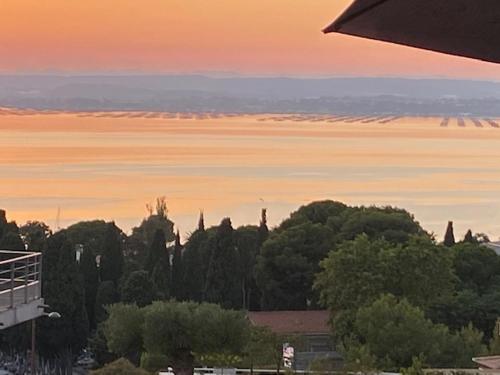 Photo de la galerie de l'établissement 1,5 km plages Bel appartement calme Piscine Garage, à Sète