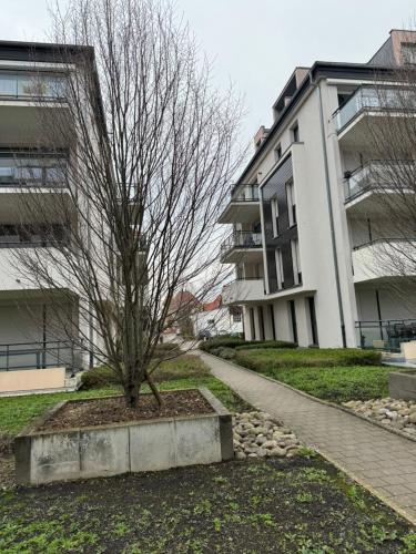Le "Petit Colmarien" à 1mn du centre