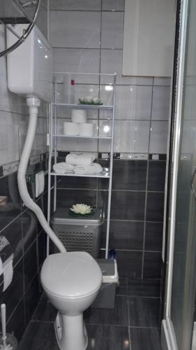 ein Badezimmer mit einem WC und einem Regal mit Handtüchern in der Unterkunft Nada's room with terrace in Kotor
