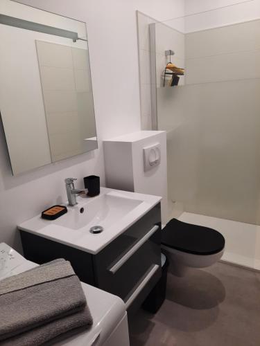 une salle de bain avec un lavabo, des toilettes et un miroir dans l'établissement Logement entier à Gannat, à Gannat