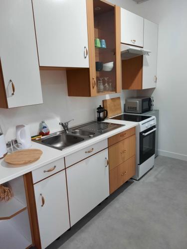Virtuvė arba virtuvėlė apgyvendinimo įstaigoje Logement entier à Gannat