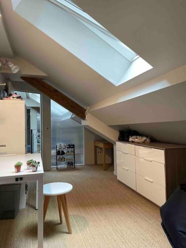 a living room with a skylight in an attic at Appartement Loft centre ville situé dans rue calme in Grenoble