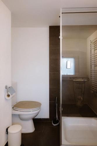 a bathroom with a toilet and a sink and a shower at Bijou Niesenblick - traumhafter Seeblick - nahe Interlaken - idyllisch in Merligen
