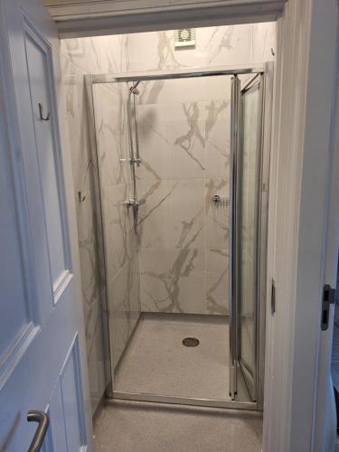 La salle de bains est pourvue d'une douche avec une porte en verre. dans l'établissement The Monkey Puzzle, à Bunclody