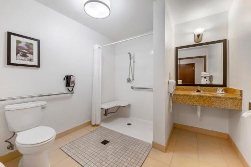 a bathroom with a toilet and a sink at Comfort Suites Conference Center Rapid City in Rapid City