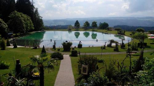 ein großer Pool mit Wasser in einem Park in der Unterkunft Rosenalm App 23 in Scheidegg