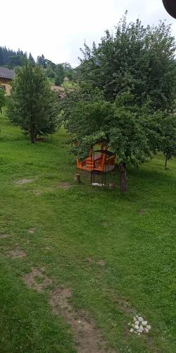 a bench in a grass field with a tree at Смерека in Mykulychyn