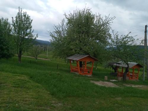 zwei kleine Holzkonstruktionen auf einem Feld mit Bäumen in der Unterkunft Смерека in Mykulytschyn
