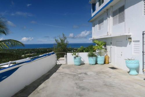 Gallery image of Oceanview Apartment with Garden Access in Vieques