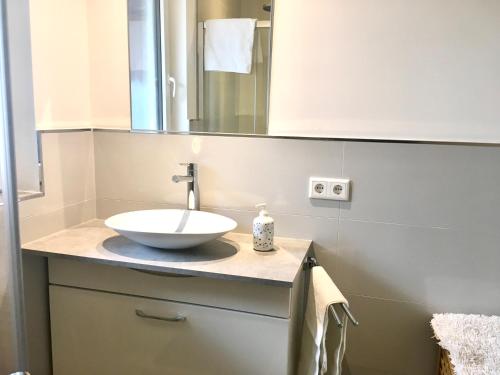 y baño con lavabo y espejo. en Das kleine gemütliche Apartment direkt am Wald, en Oldenburg