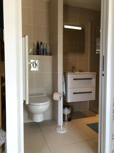 une salle de bain avec toilettes et lavabo dans l'établissement Chabanas, à Gap