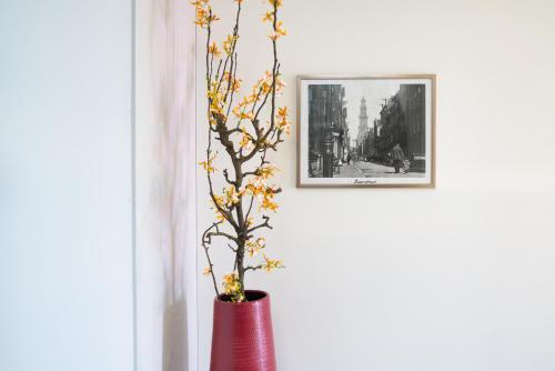 um vaso vermelho com uma planta ao lado de uma imagem em Huis met de krul em Amsterdã