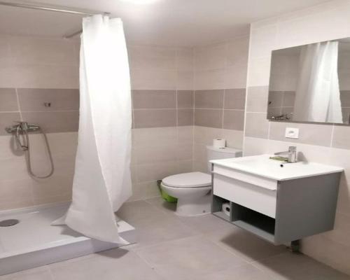 La salle de bains est pourvue d'une douche, de toilettes et d'un lavabo. dans l'établissement Appartement 2 CHAMBRES meuble a saix 48 m2 avec COUR, à Saix