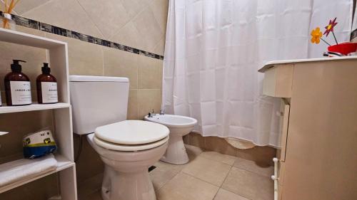 ブエノスアイレスにあるMiller y Olazábalのバスルーム(トイレ、シャワーカーテン付)