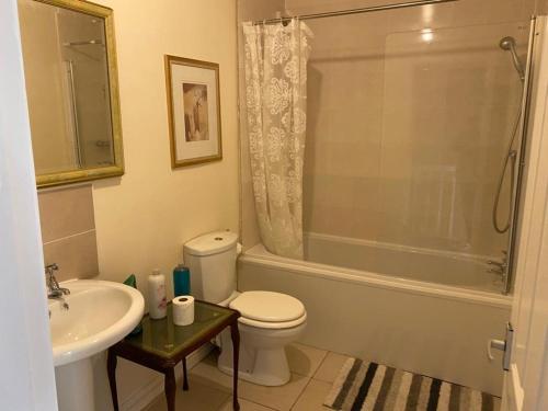 a bathroom with a toilet and a sink and a shower at Jacks Court B1 in Stalybridge