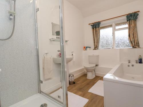 a bathroom with a shower and a sink and a toilet at The Cottage in Holywell