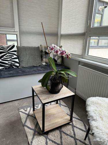 ein Wohnzimmer mit einem Tisch und einer Pflanze darauf in der Unterkunft Стильна чудова квартира в місті Тернопіль in Ternopil