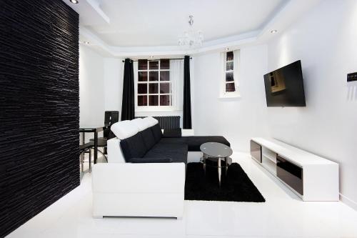 Zona d'estar a Stylish 2 bedroom apartment in Shoreditch - London