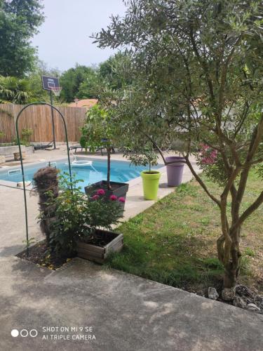 une arrière-cour avec une piscine bordée d'arbres et de plantes dans l'établissement Maison entre océan et bordeaux, à Le Taillan-Médoc