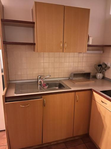 een keuken met houten kasten en een spoelbak bij J-Max in Bled