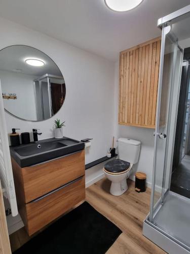 une salle de bain avec toilettes, lavabo et miroir dans l'établissement L'Emeraude Amiénoise Netflix/Hortillons/StLeu/Gare, à Amiens