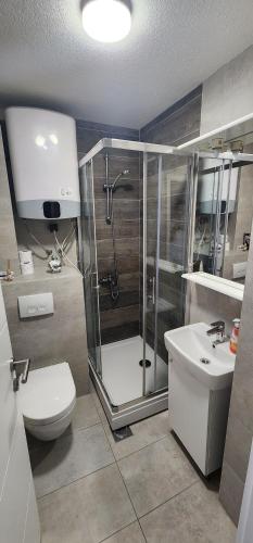 een badkamer met een douche, een toilet en een wastafel bij Studio Apartment Urban Haven in Sarajevo