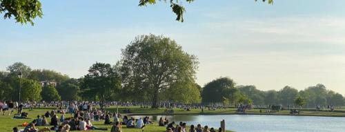 a crowd of people sitting around a pond in a park at Balham, South London Spacious Guest House 1 in London