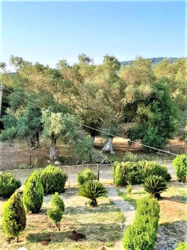 a garden with a fence and trees and bushes at ARTE MARE d'Irene in Spárton