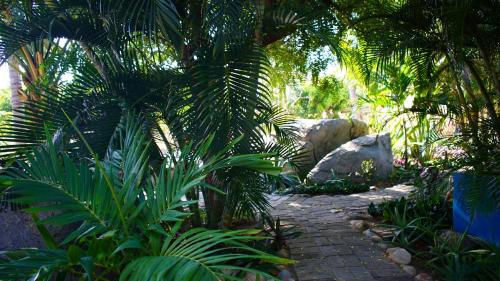 a garden with palm trees and a stone path at OCEAN OASIS HOTEL - adult only, four casitas boutique resort in Playa Agua Blanca