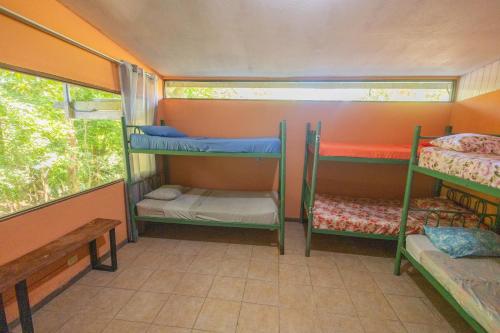Gallery image of New Hostel Manuel Antonio, Meet new people in Manuel Antonio